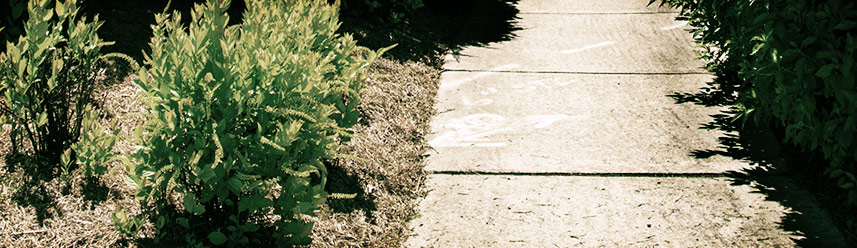 ddos攻击器安卓ios下载